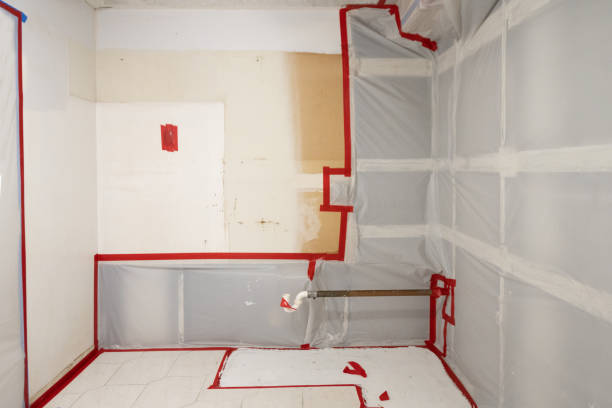 Boyertown, PA Mold Removal Company